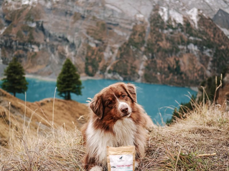 @pookie_aussie