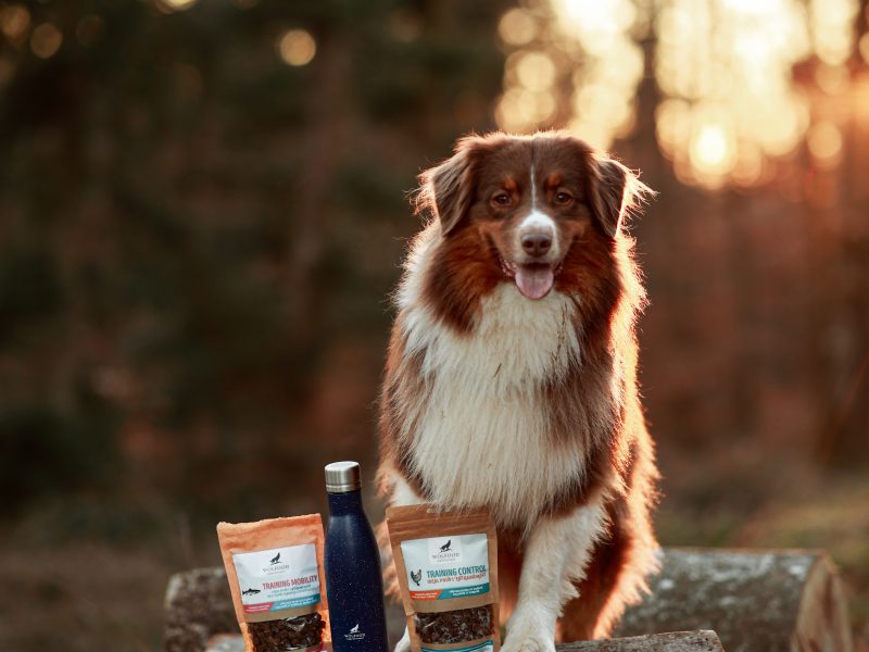 @pookie_aussie