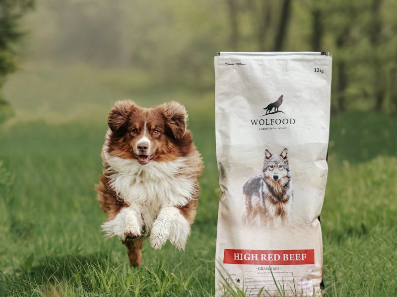 @pookie_aussie