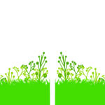 ESPACES VERTS JL LIPP & FILS - Paysagiste/Pisciniste